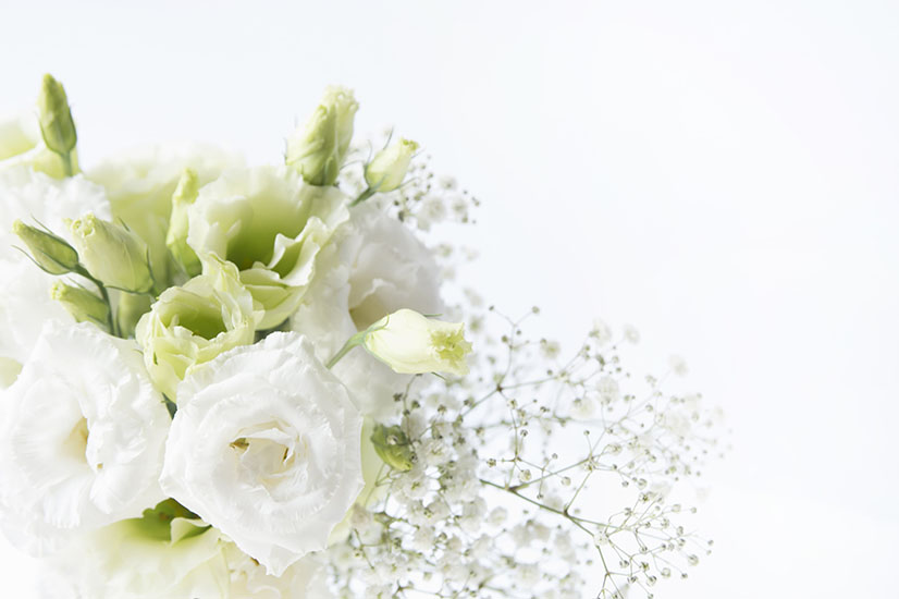 横浜市南区の葬儀社 | 笹嶋葬儀