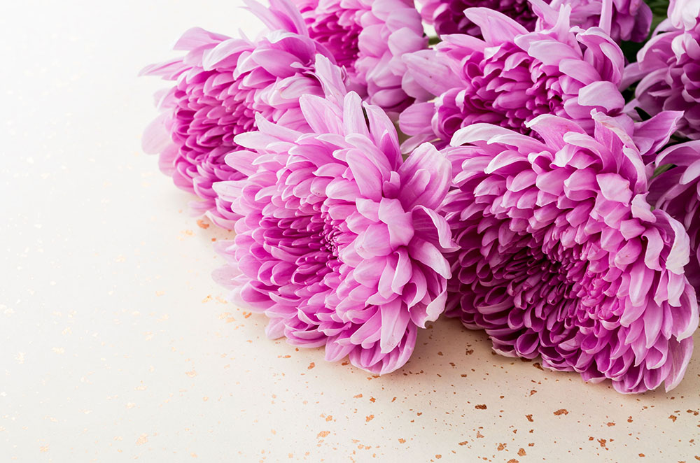 葬儀費用の目安