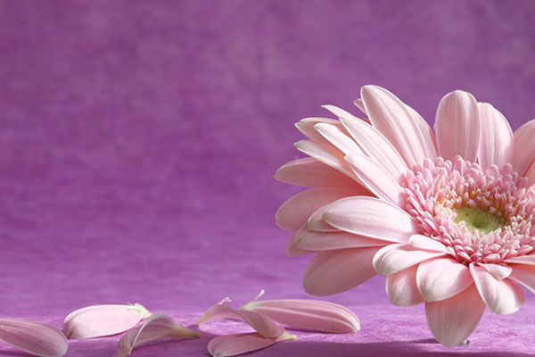 私たちについて